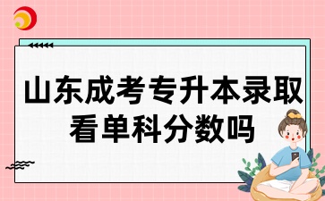 山東成考專升本錄取看單科分數嗎