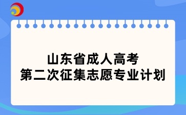 2024年山東省成人高考第二次征集志愿專業(yè)計劃